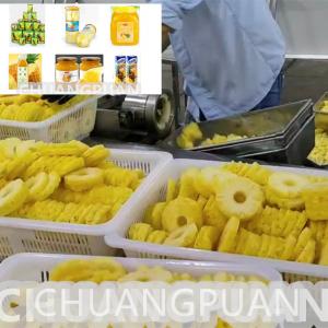 China Customized SS304 Canned Sliced Pineapple Production Line Capacity 0.5-15T/H on sale