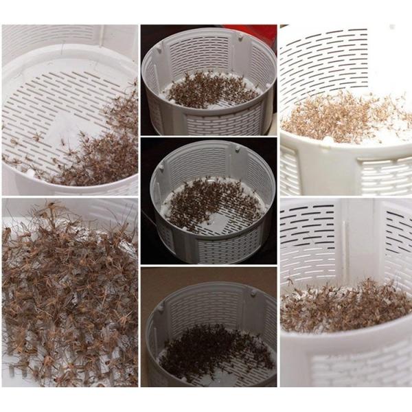 Electronic Mosquito Killer LED Night Light Lamp USB Bug Insect Killer Dropshipping Worldwide