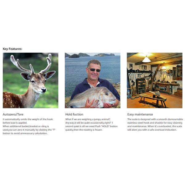 CE ROHS Certified 300kg Electronic Hanging Crane Scale with Digital LED Display and ABS Stainless Steel Material