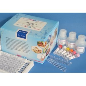 Biopharmaceutical Kanamycin ELISA Kit Plasmid Detection 95% High Accuracy