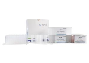 Best Tissue FFPE RNA Extraction Kit For Automatic Extraction Machine Nucleic Acid Extraction Reagent Box wholesale