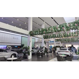 Zhengzhou Qingxing Automobile Service Co. , Ltd.