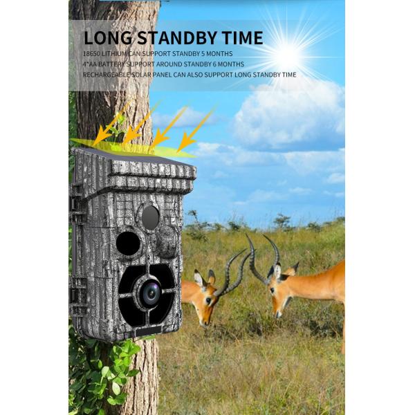 16pcs IR LED Hunting Trail Camera 32MP 60 Degree PIR Sending Angle Waterproof 4K / 10fps