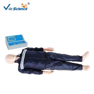 Best Medical CPR Training Manikins 200 Style Resuscitation Manikins CE Approved wholesale