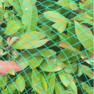 Best Customized Plant Protection Netting Green Crop Protection Netting Agricultural wholesale