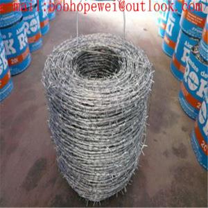 China buy razor wire/barbed wire cost/building barbed wire fence/barbed wire manufactures/electric fence barbed wire on sale