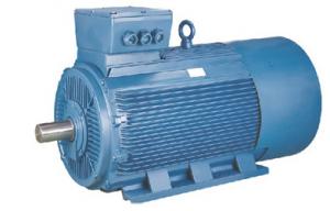 Best IP66 high efficient three phase induction squirrel cage ventilation motoren for hydraulic pump wholesale