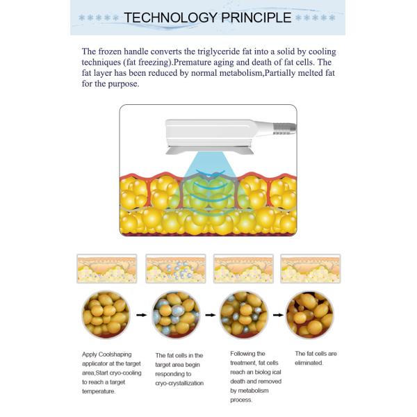 Semiconductor Cooling Vacuum Slimming Machine , Cryo Weight Loss Machine With 4 Handles