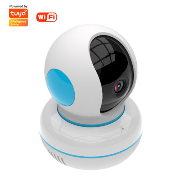 TCP/IP Wifi Smart Camera Ptz Edition 360 FHD Camera Tuya Smart Life
