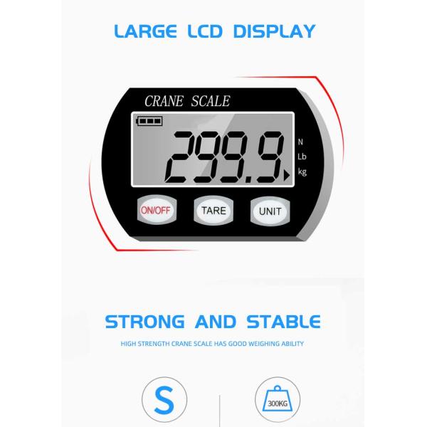 Customized Support LCD Display Beichen Electric Hanging Crane Luggage Weight Scale 300kg Mini Crane Scales