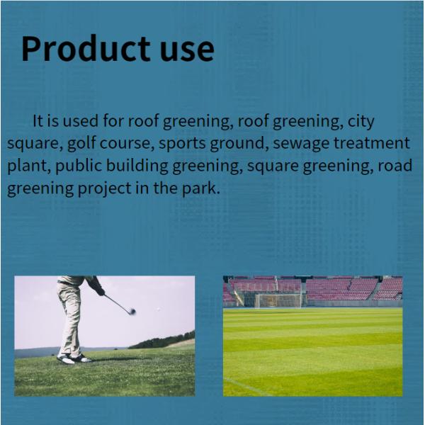 Protect Turf Product Feature Ecofriendly HDPE Impounding Drainage Cell Mat Board