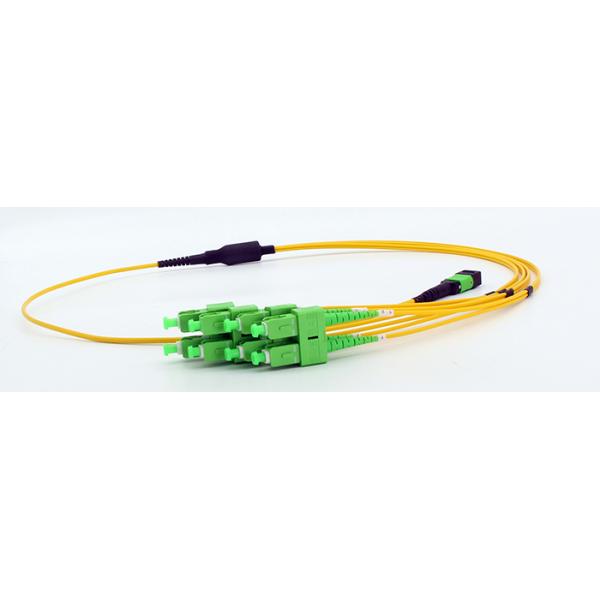 Elite MTP Female to SC APC 8 Fibers staggered lenght Breakout 2.0mm 9 / 125μm Color Yellow LSZH Jacket Type B