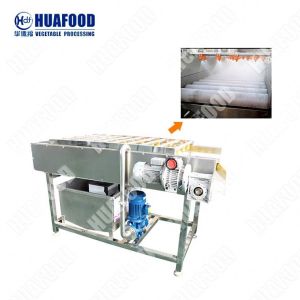 Fruit Washer / Vegetable Washing Machine Clean Vegetable Processing Line Fruit