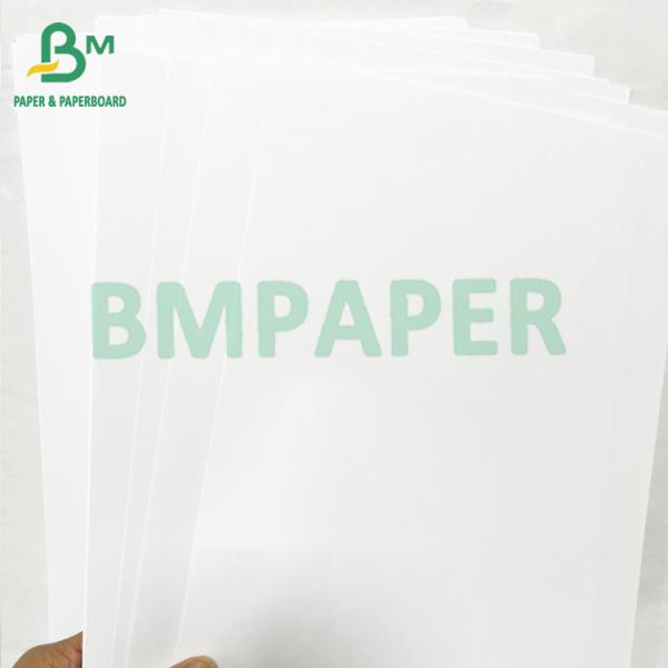 20lb White Precise Professional Prints Large Format CAD Paper