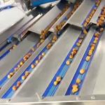 Advanced Computer Control, High-capacity online Dates Sorting machine, Deep