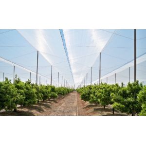 Best Greenhouses Anti Insect Screen Mesh Disease Prevention Insect Proof Mesh wholesale