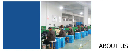 Dragon Guard Holding Limited