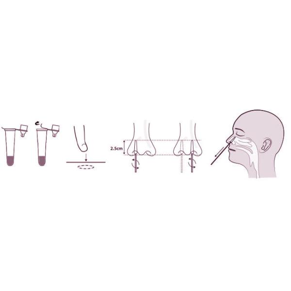 Green Spring Antigen Detection Kit For Nasal Swab Use 1 Kit Swab Antigen Test Kit