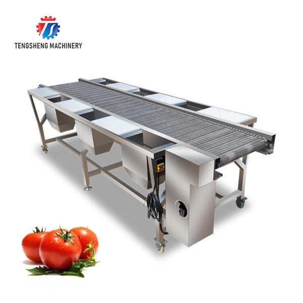 Cheap Automatic Vegetable Sorting Machine Selection Table Food Processor for sale
