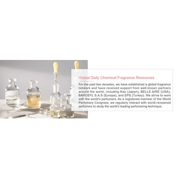 Myrrhe Mistere Reed Diffuser Oil High Concentrated Custom Diffuser Oil for Fresh Air