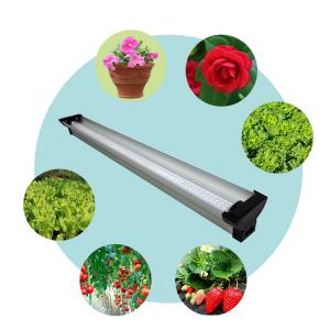 Best OEM 48W Waterproof Led Grow Light Lamps 3 Year Warranty For Indoor Plant wholesale
