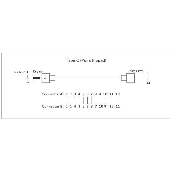 MTP MPO To SC UPC Fiber Optic Fanout Pigtail Patch Cord Single Mode 0.9mm
