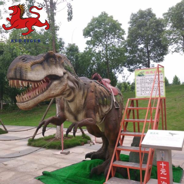 Realistic Animatronic Tyrannosaurus Ride With Movement / Sound Customization