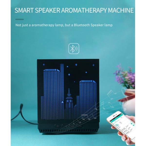 200ml 14 Hours Aromatherapy Reed Diffuser For SPA