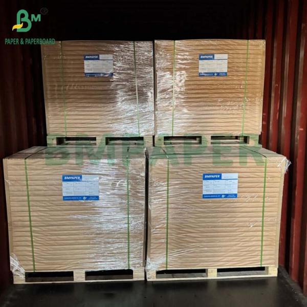 Unbleached Natural Brown Coffee Filter Paper Biodegradable High Temperature 