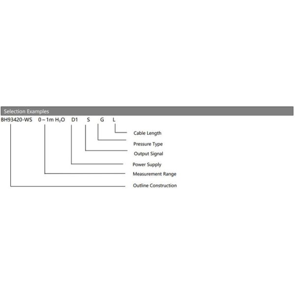 Stainless Steel Level Measurement With Flange Weight Swage Level Sensor Pressure Transmitter Sensor 3