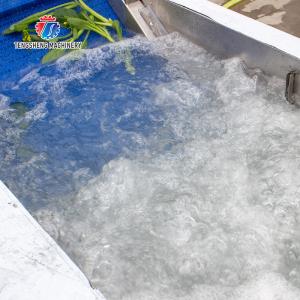 3KW Bubble Circulating Surfing Fruit And Vegetable Washing Machine Ozone