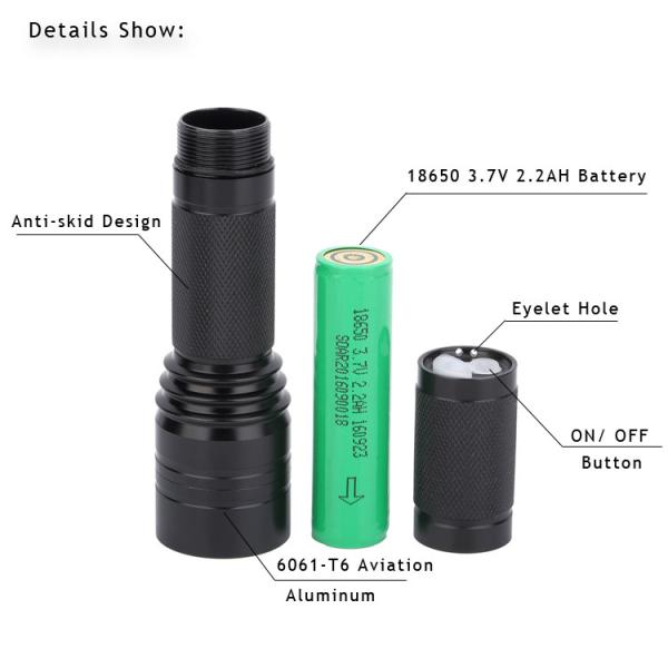 Explosion Proof Flood Light 3 Watt 100000 Hour Lifespan