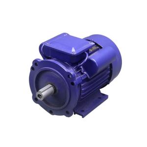China Single Phase Ac Induction Motor 5 Hp 3 Hp on sale