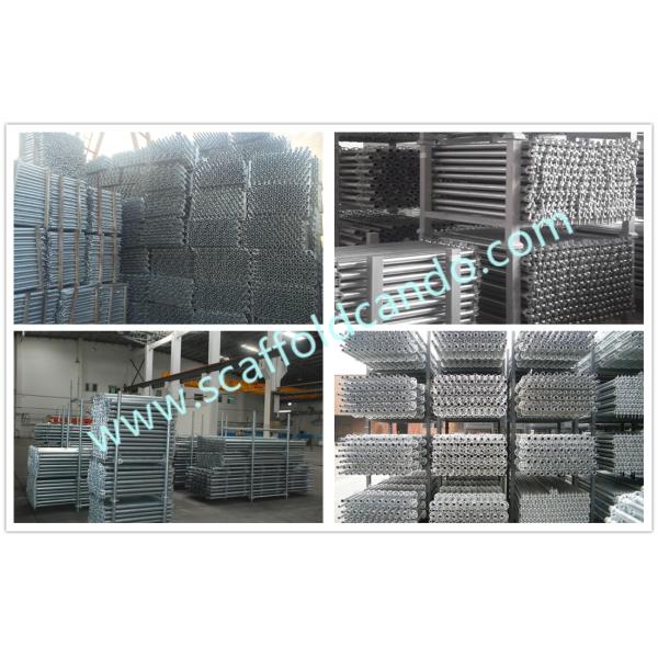 3000mm,2500mm,2000mm,1500mm,1000mm Q235 Q345 scaffolding ringlock standard vertical for project erection HDG