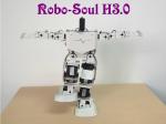 Robotics equipment Large torque digital servo Support 17 DOF Humanoid robot