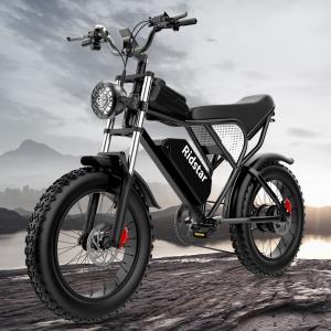 China 20 X 4.0 Fat Tire 1000W Electric Bicycle 48V 20AH Steel Frame Electric Bike on sale