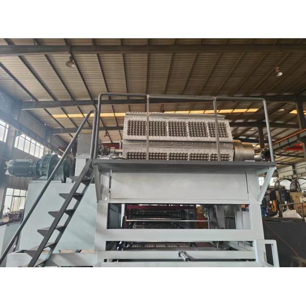 WANYOU Recycled Paper Pulp Molding 6*8 molds 5000-6000pcs / Hour Automatic Egg Tray Making Machine Pulp Molding Production Line PLC Controlled