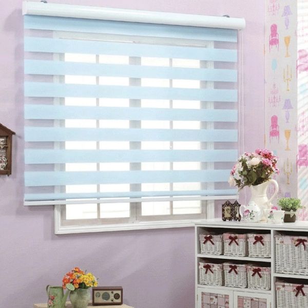 2020 Lowest Price modern home window Customized size zebra blinds roller