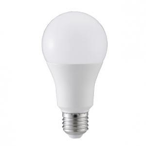 LED Light Bulbs A65