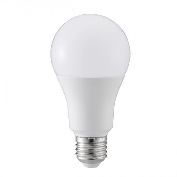 Cheap LED Light Bulbs A65 for sale