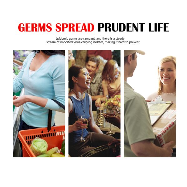 Portable O3 Car Ozone Generator High Flow For Commercial