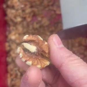 Best Walnut Kernel Sorting Machine With Smart Dual-Camera Scanning AI-Powered Deep Learning Easy Intelligent Operation High Precision wholesale