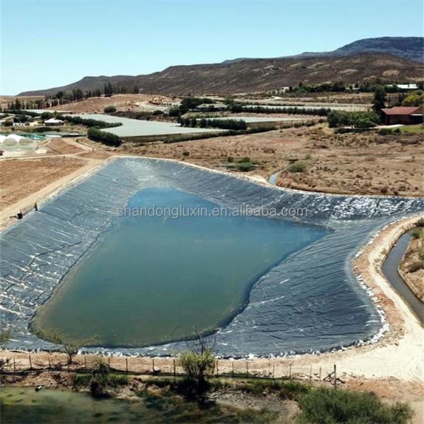 Double Smooth Surface HDPE Geomembrane Waterproof for Waterproofing Pe Pool