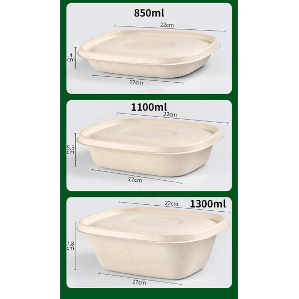 Disposable Party Dinnerware Take Away Salad Box 850ml 1100ml 1300ml Sugarcane Bagasse Pulp Box Packaging