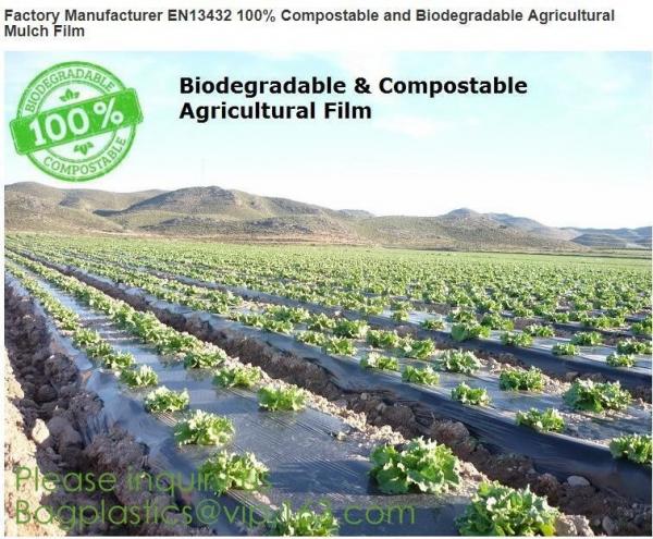 Cheap Factory Manufacturer EN13432 100% Compostable and biodegradable Agricultural Mulch film, starch plant based wrap film pa for sale