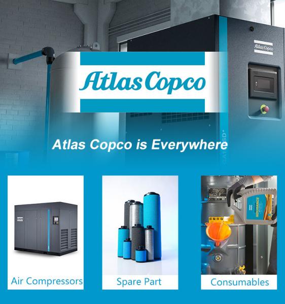 Atsl-165e Atsl1651e Atlas Copco Oil Free Screw Air Compressor Spare Parts Head Air End 2236050200 2236050100