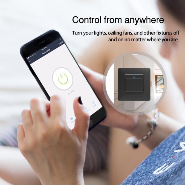 Tuya Light 1 Gang Push Button Smart Wifi Wall Switch OEM Compatible With Alexa / Google Home