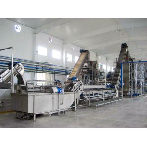 High Quality Customized Mango Juice Processing Machine Mangga/Mango Pulp