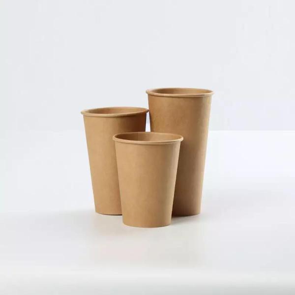 Kraft PE Coating Disposable Bio-Degradable Paper Coffee Cups For Hot Drinking