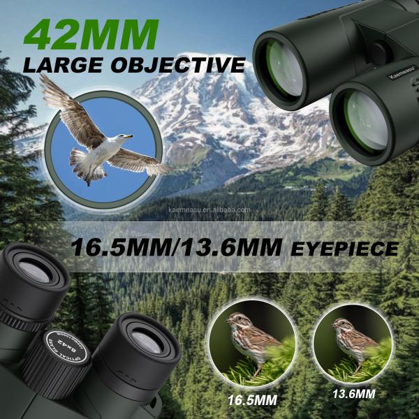 C 10X High Definition Binoculars 10X42 for Adults Optical Telescope for Hunting and Travel